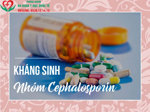 nhóm thuốc kháng sinh cephalosporin điều trị viêm đường tiết niệu