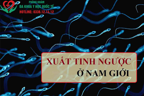 Tình trạng xuất tinh ngược là gì?