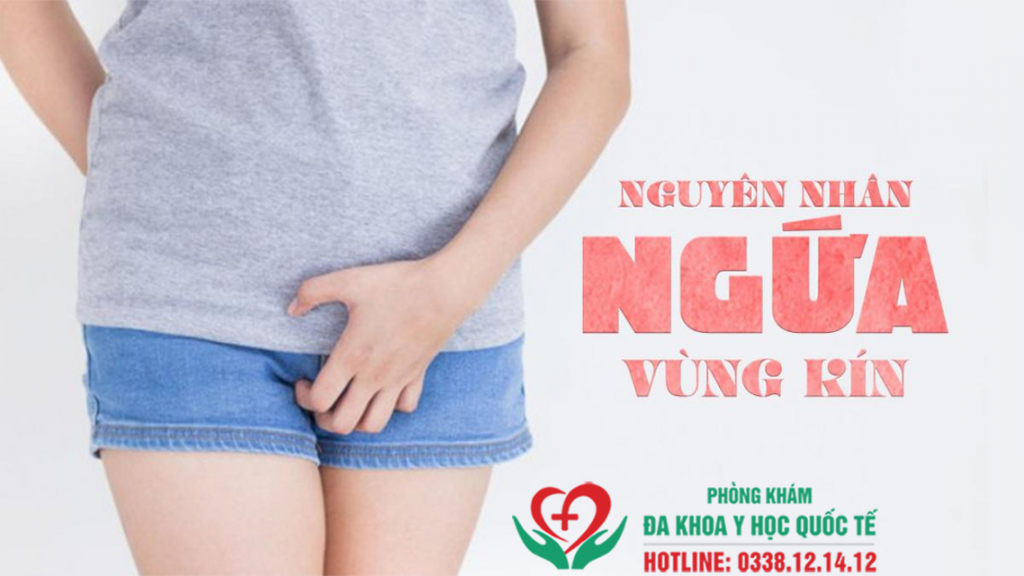 NGUYÊN NHÂN CHỦ YẾU GÂY NẤM VÙNG KÍN