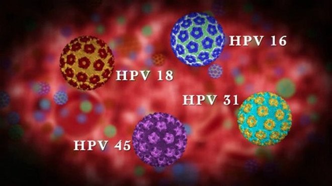 Các loại virus HPV và cách thức lây lan